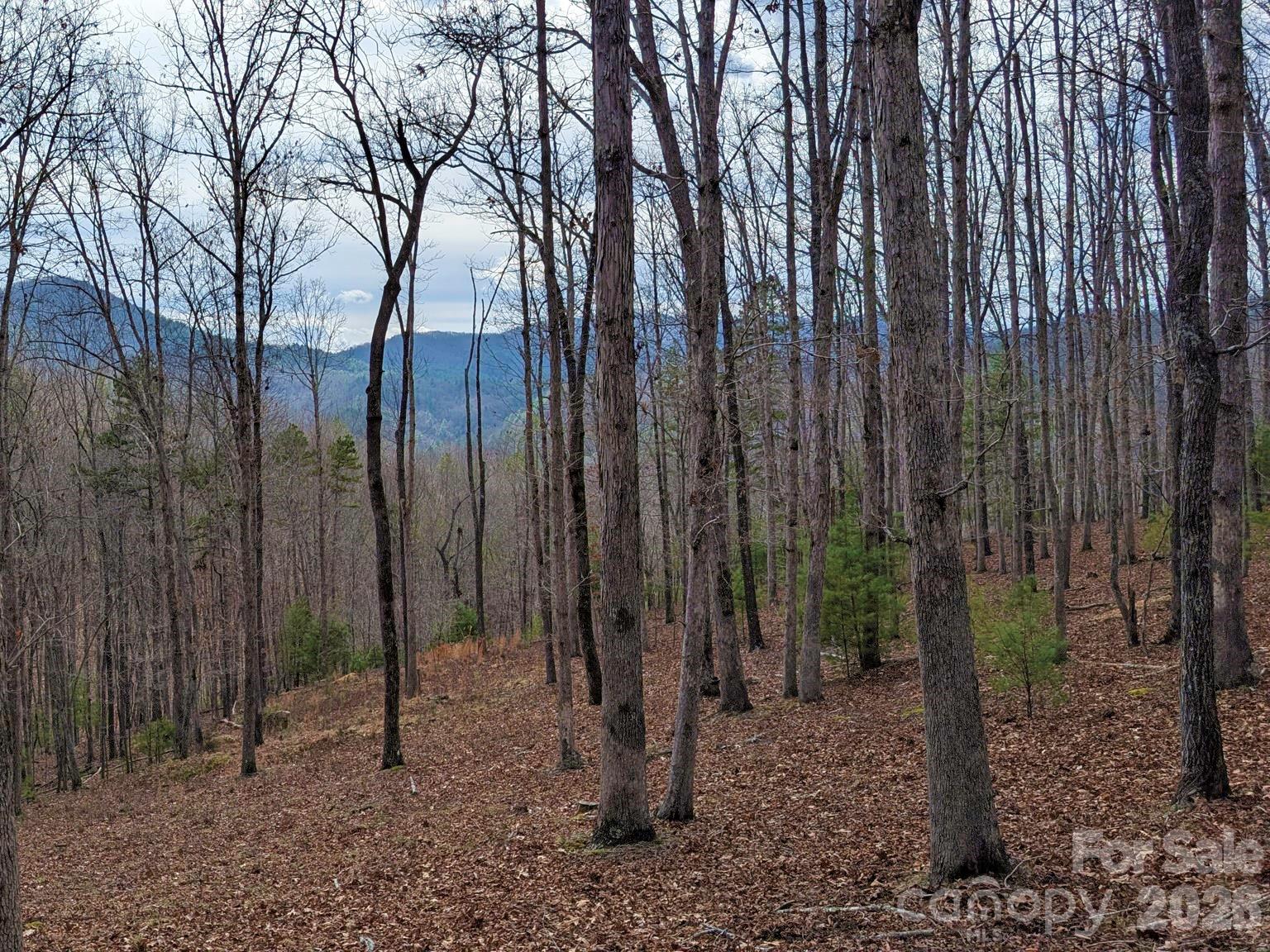 French Broad Crossing - Land