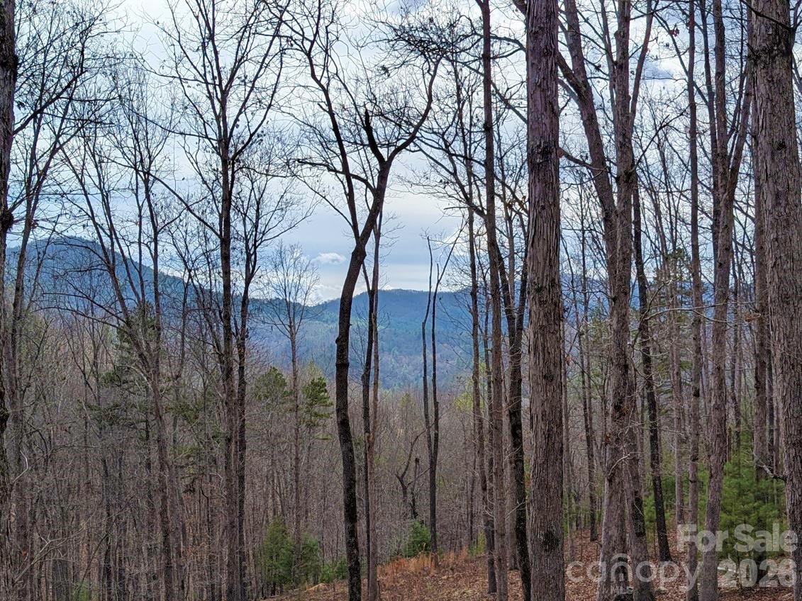 51 Wild Turkey Loop 32