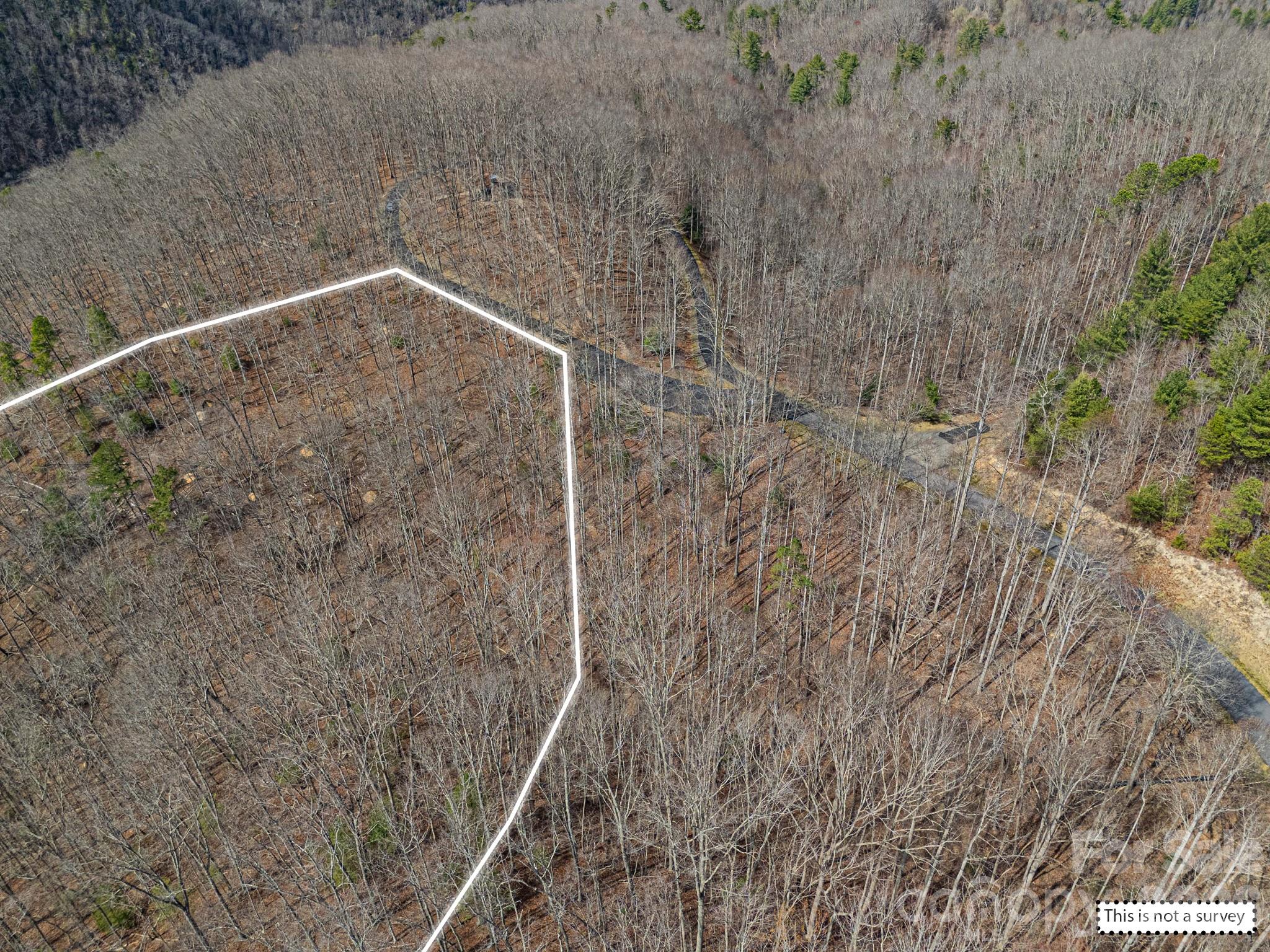 French Broad Crossing - Land