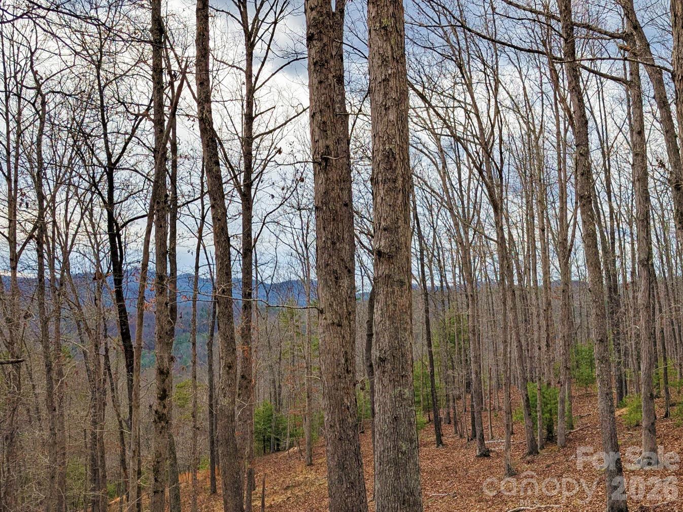 French Broad Crossing - Land