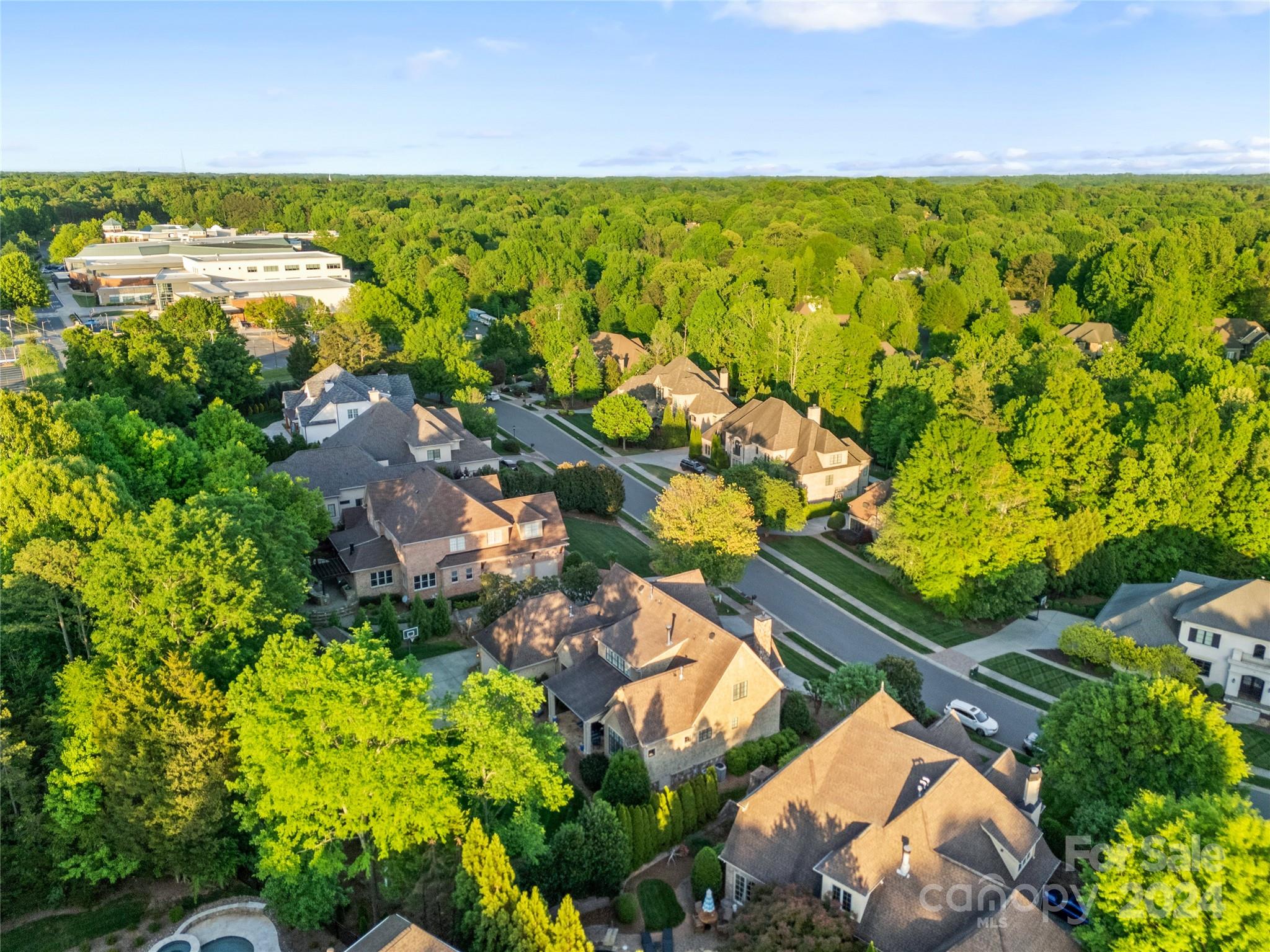 The Forest - Residential