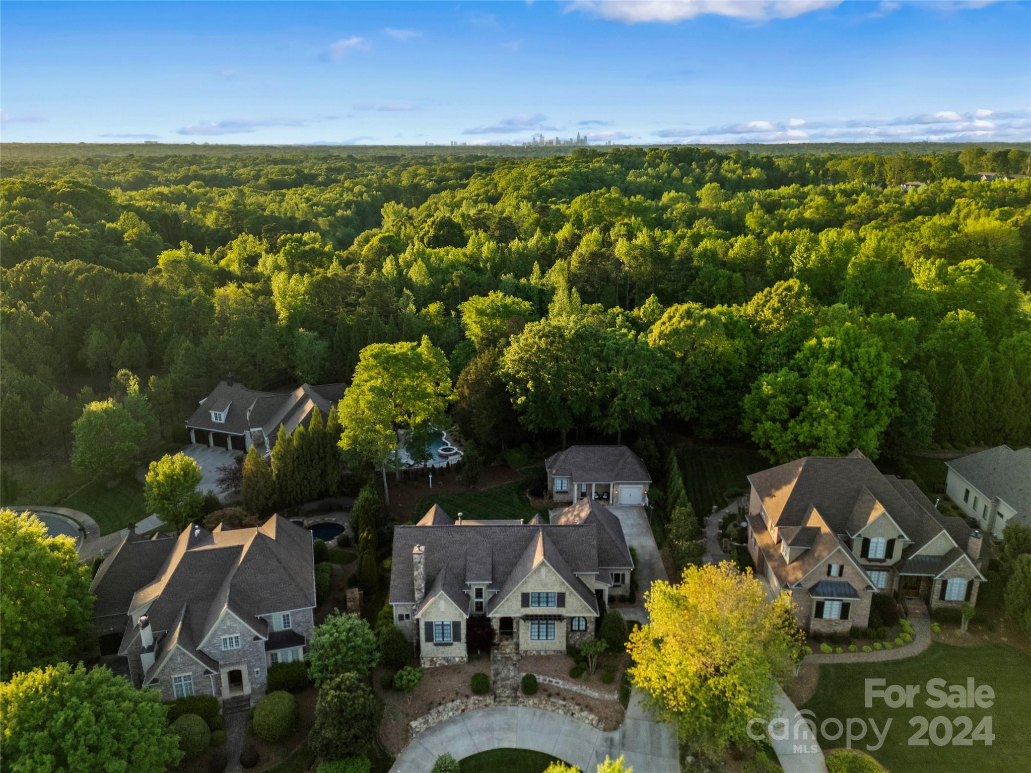 The Forest - Residential