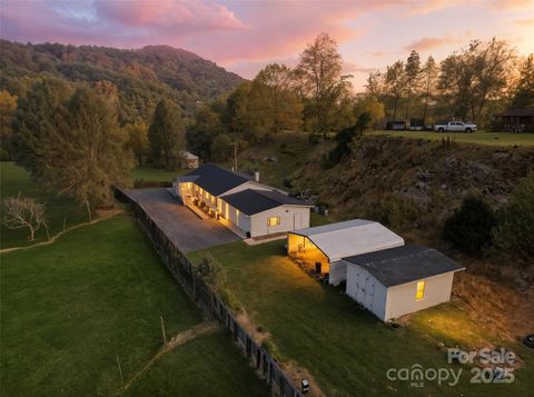 63 Raleigh Lane Hot Springs NC 28743