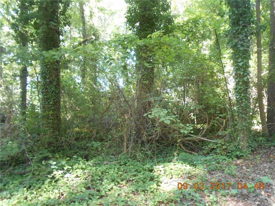 Bring your plans and build your new home. Wooded lot ready to be developed.  Located near the new blue line, I-85, I-485. Lot is level with no HOA.