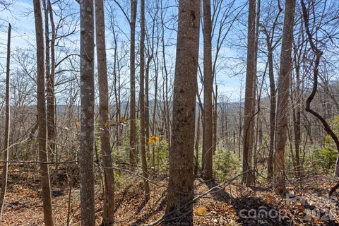 0 Dogwood Drive Lake Lure NC 28746