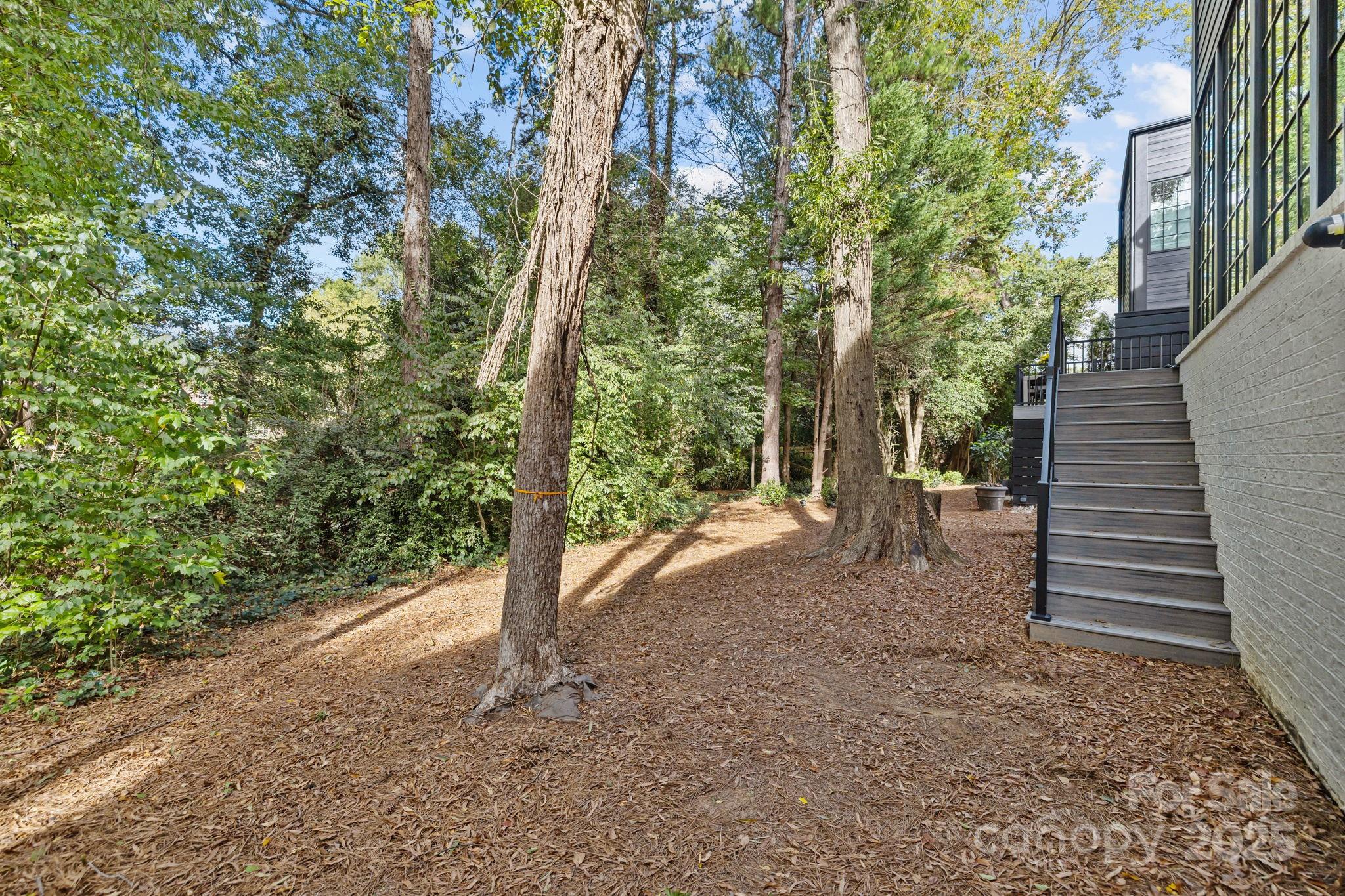 Tynecastle - Residential