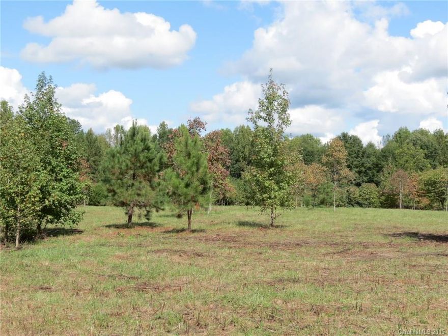 Beautiful tract of land just outside the city limits of York.  Very convenient location to Rock Hill and Charlotte.  Land has a nice rolling topo back to large creek that is the back property line.  Front 4-5 acres is very nice pasture that is surrounded by nice trees for privacy.  Great build site in the pasture and also another great build site in the woods behind the pasture that would create more privacy.  Pasture is great area for horses or cattle.  More acreage is also available.