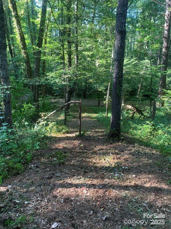 Lake Rhodhiss Estates - Land