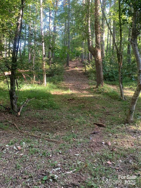 Lake Rhodhiss Estates - Land