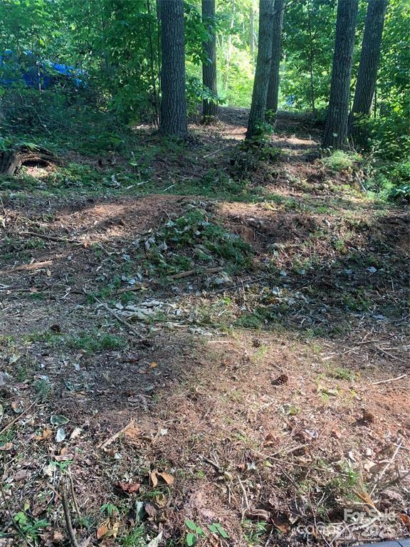 Lake Rhodhiss Estates - Land