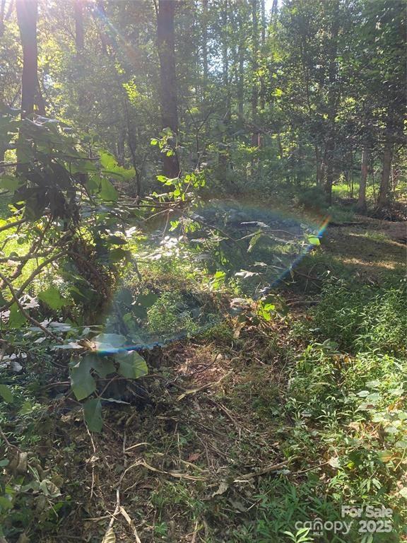 Lake Rhodhiss Estates - Land