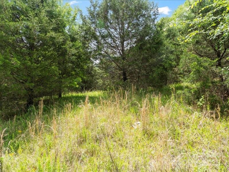 908 Lake Lynn Road