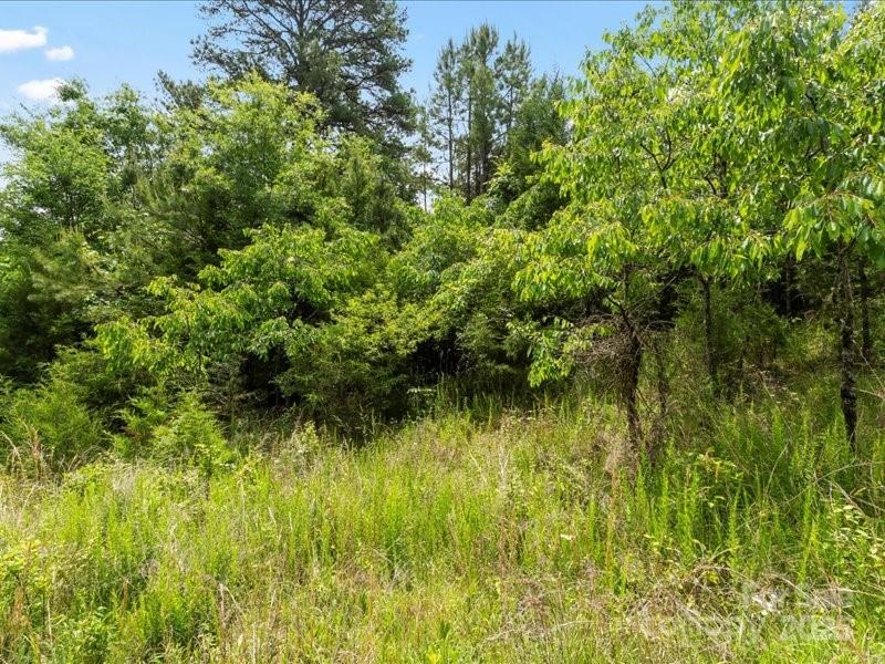908 Lake Lynn Road