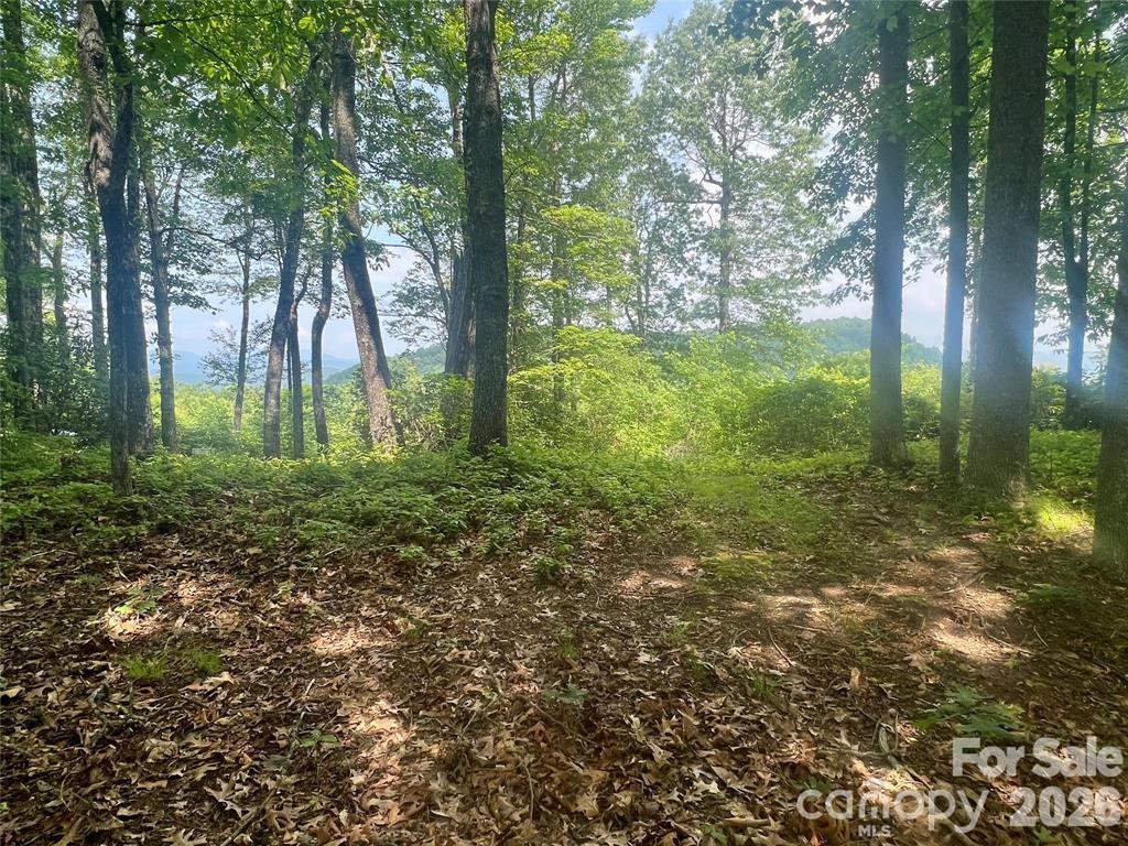 Joshua Summit - Land