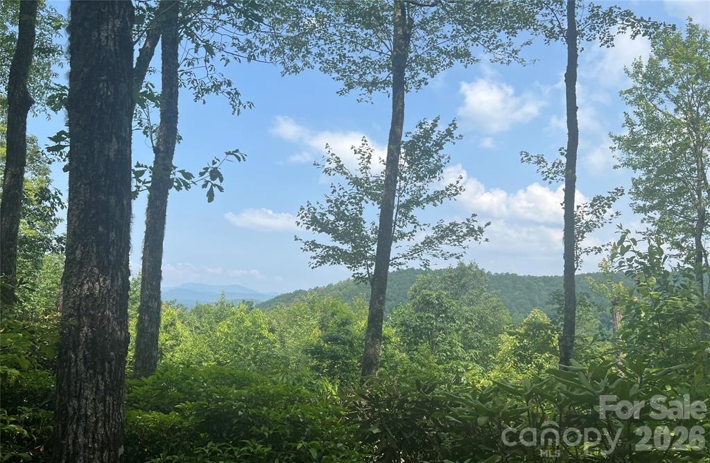 Joshua Summit - Land