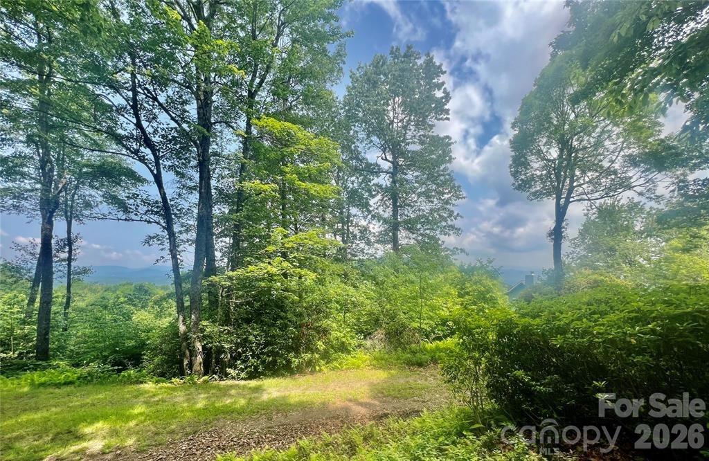 Joshua Summit - Land