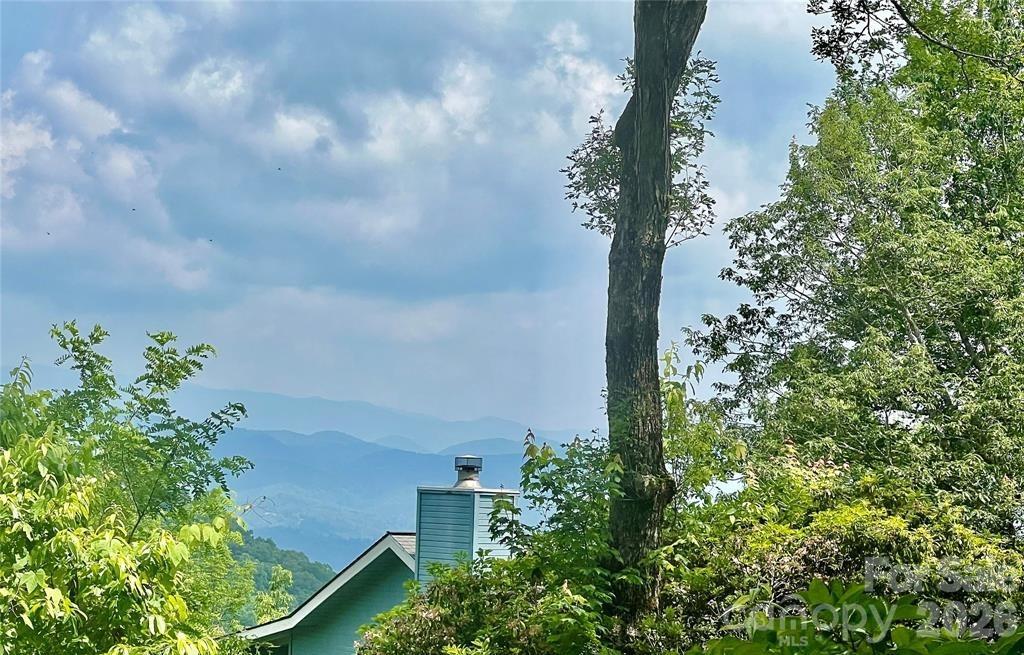 Joshua Summit - Land