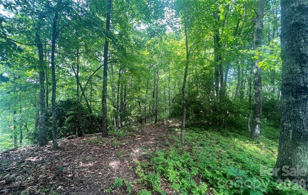 Joshua Summit - Land