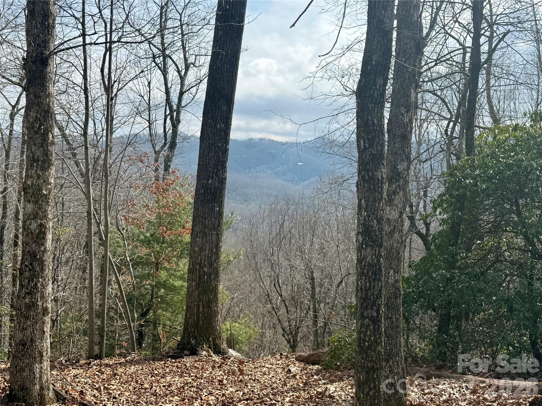 Joshua Summit - Land