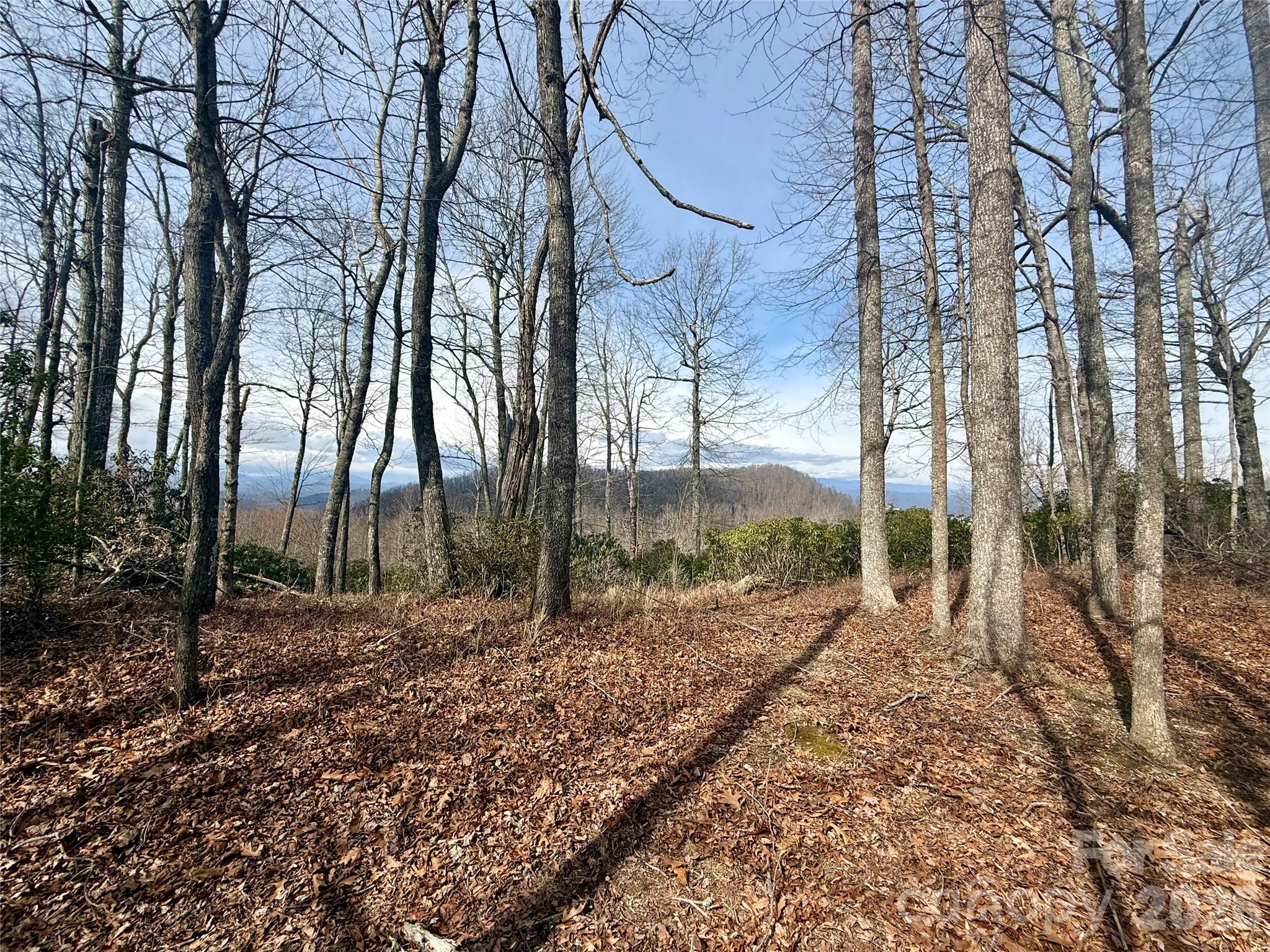 Joshua Summit - Land