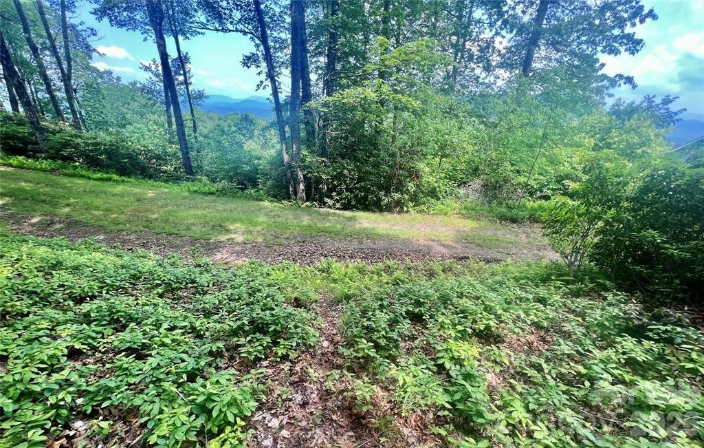 Joshua Summit - Land