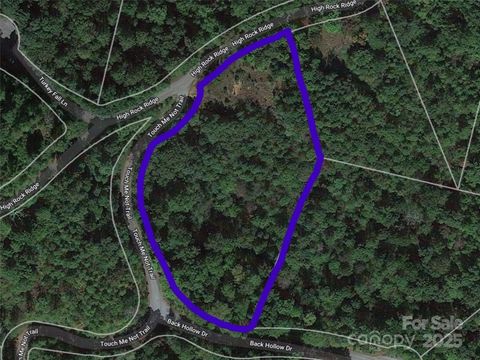 0 High Rock Ridge 9 Lake Lure NC 28746