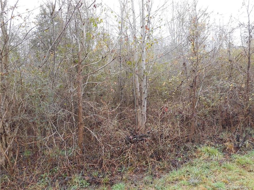 County water, GAs and CAble are available.  Septic tank permit is required by Buyer before closing.