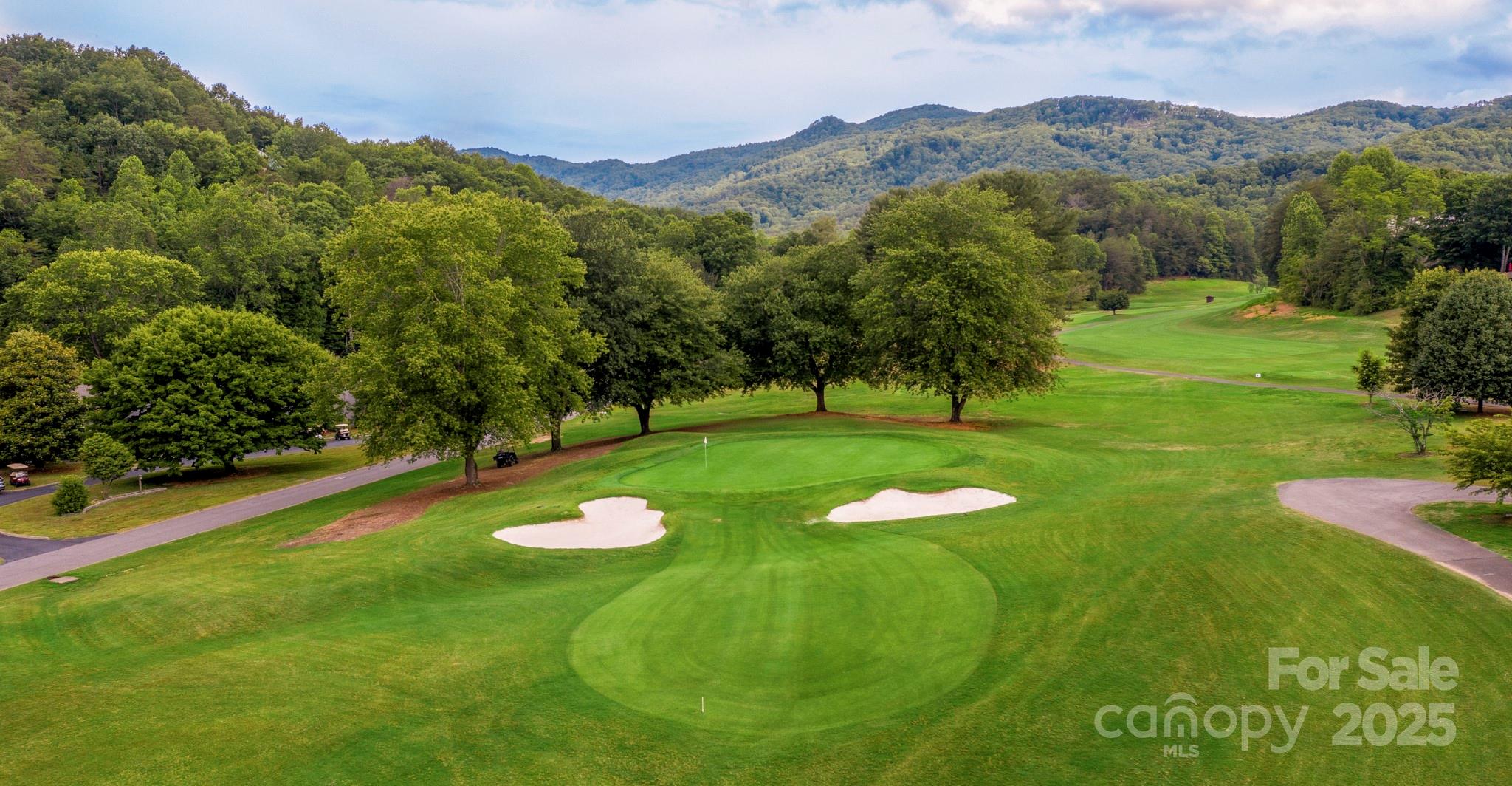 Rumbling Bald on Lake Lure - Residential