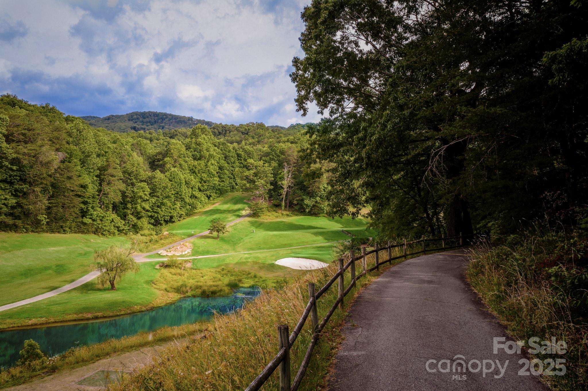 Rumbling Bald on Lake Lure - Residential