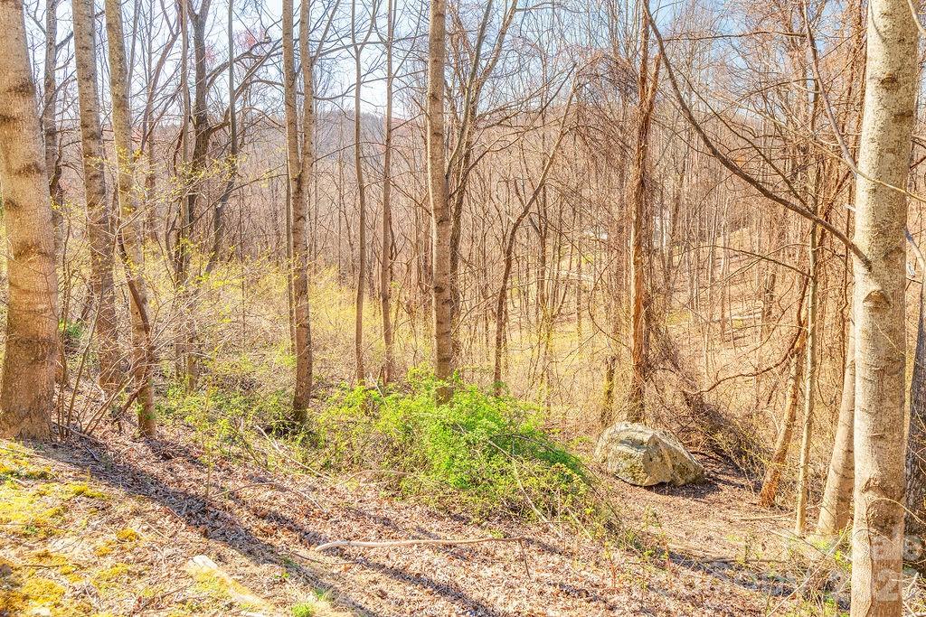 461 Somersby Parkway