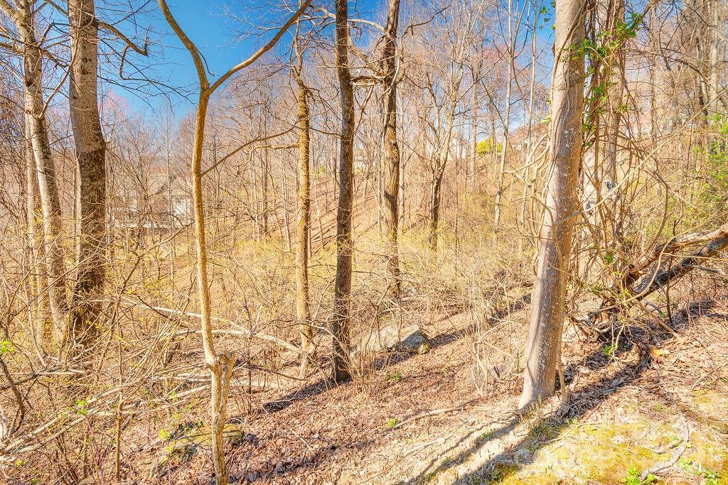 461 Somersby Parkway