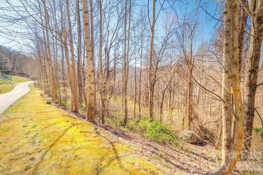 461 Somersby Parkway