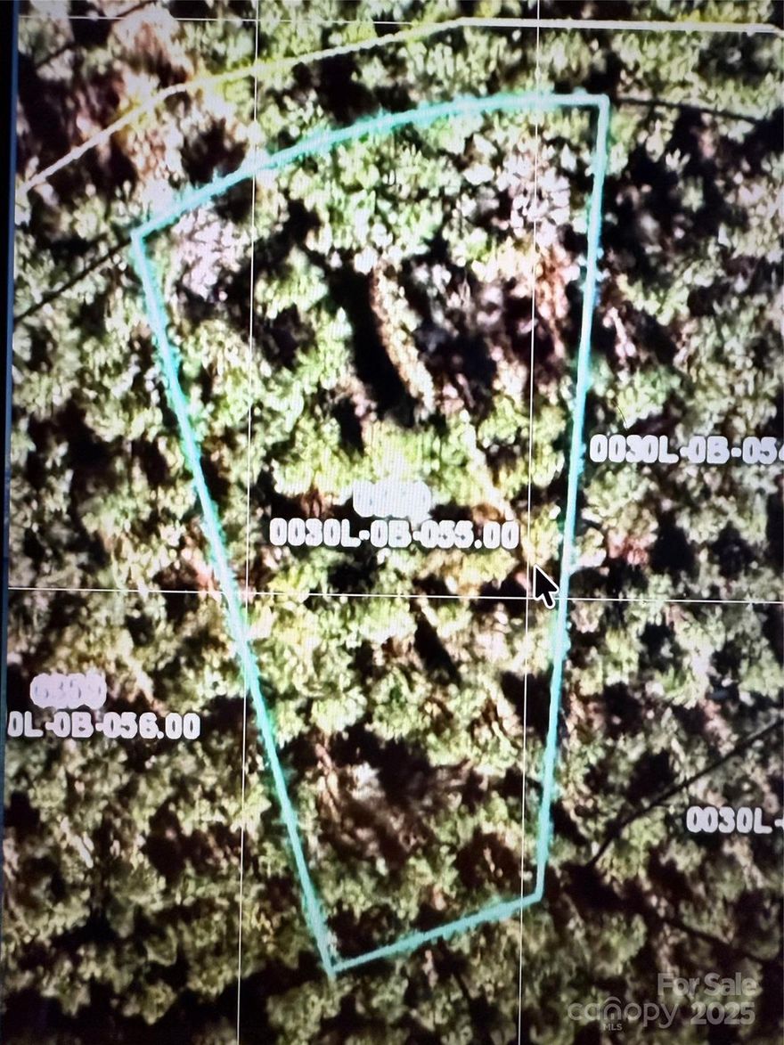 Welcome to RiverChase Estates. This is a beautiful densely wooded homesite, 0.79 acre lot. This homesite has the perfect shape for a huge back yard surrounded by trees Only a few lots like this are left within Riverchase Estates. Other benefits of this spectacular community include: Low Taxes, a gated entrance, exclusive river access and a $4 million Amenity Center, great walking trails just quiet living. Bring the builder of your choice and build when you are ready! Don't miss this opportunity to build your dream custom home in this beautiful acreage community! For more information call today!