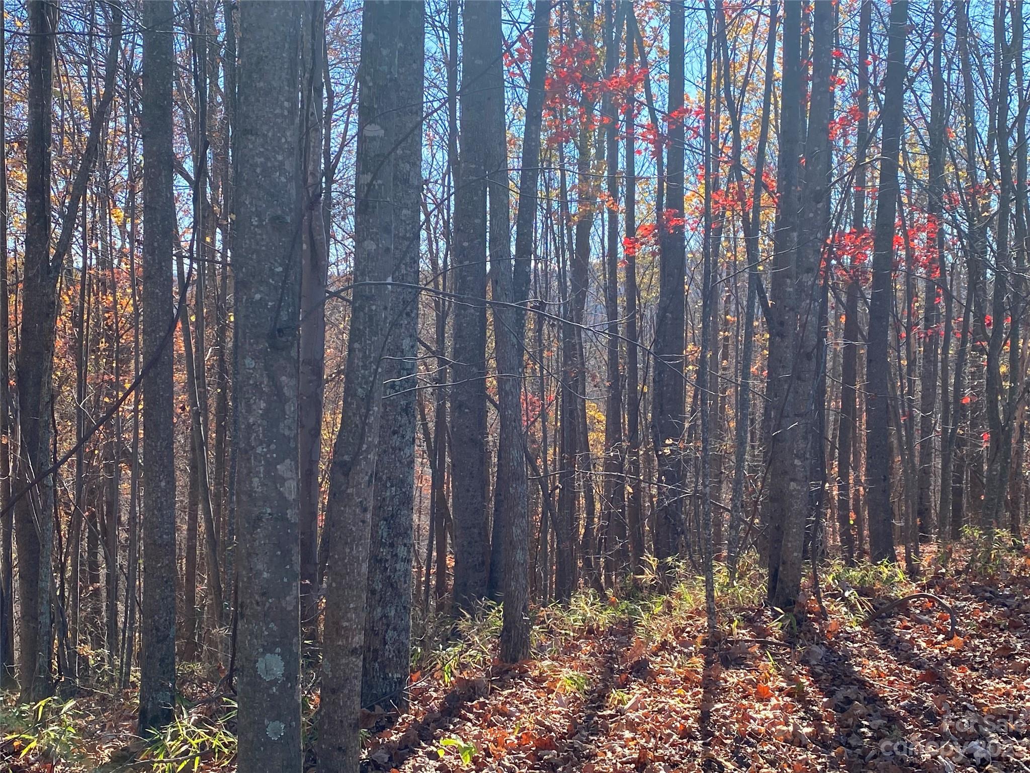 TBD Meditation Ridge Drive 43