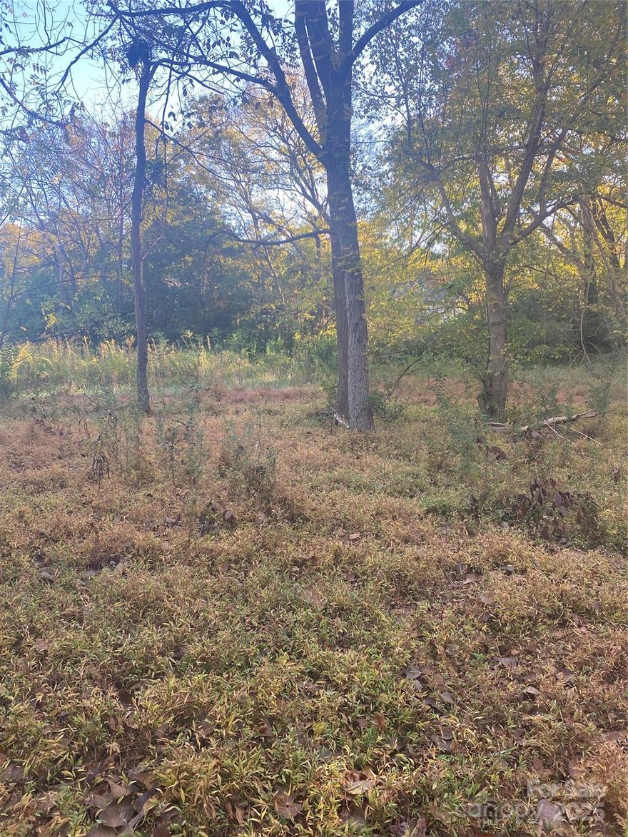 Nice large lot that can be subdivided per City Of Lancaster.   Water and Sewer available.  Don't miss this great investment!   Builders build affordable homes  in Lancaster!