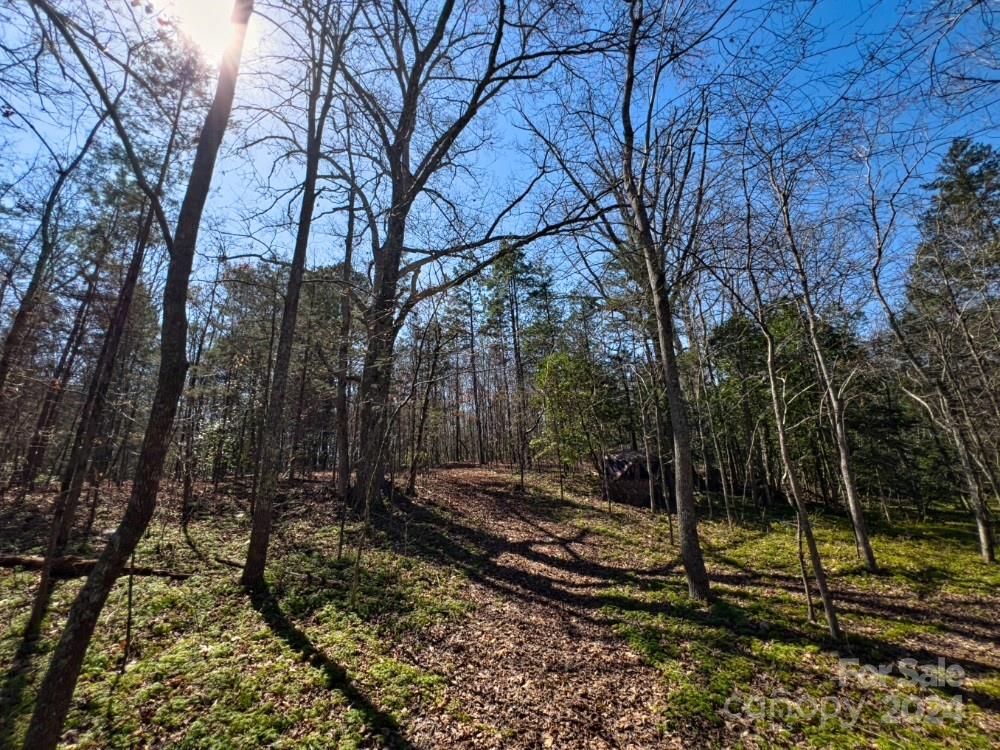 2748 Piney Mountain Church Road
