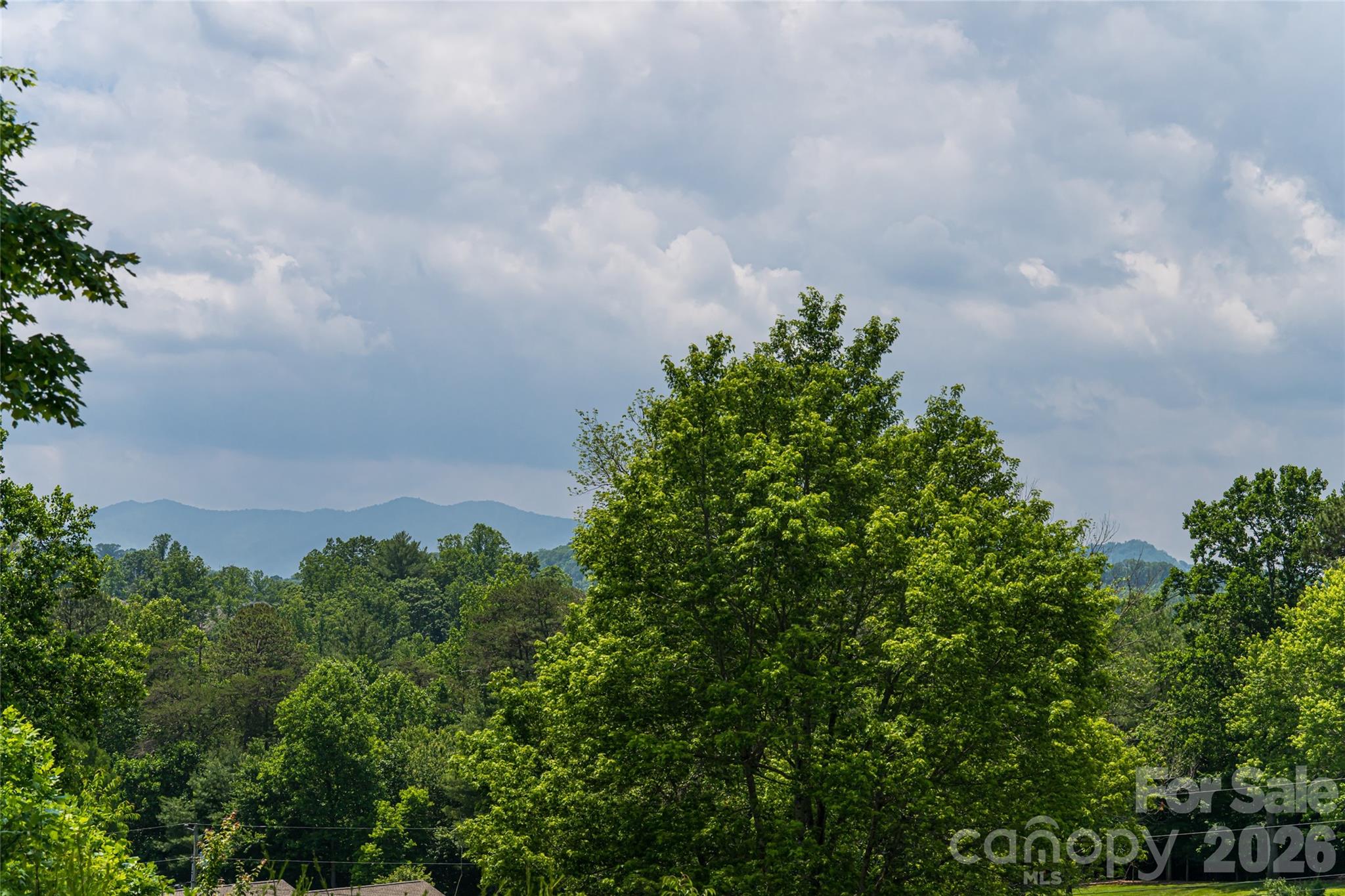 Biltmore Lake - Residential