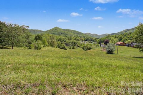 Photo of 99999 Wise Road, Candler, NC 28715 (MLS # 4377321)