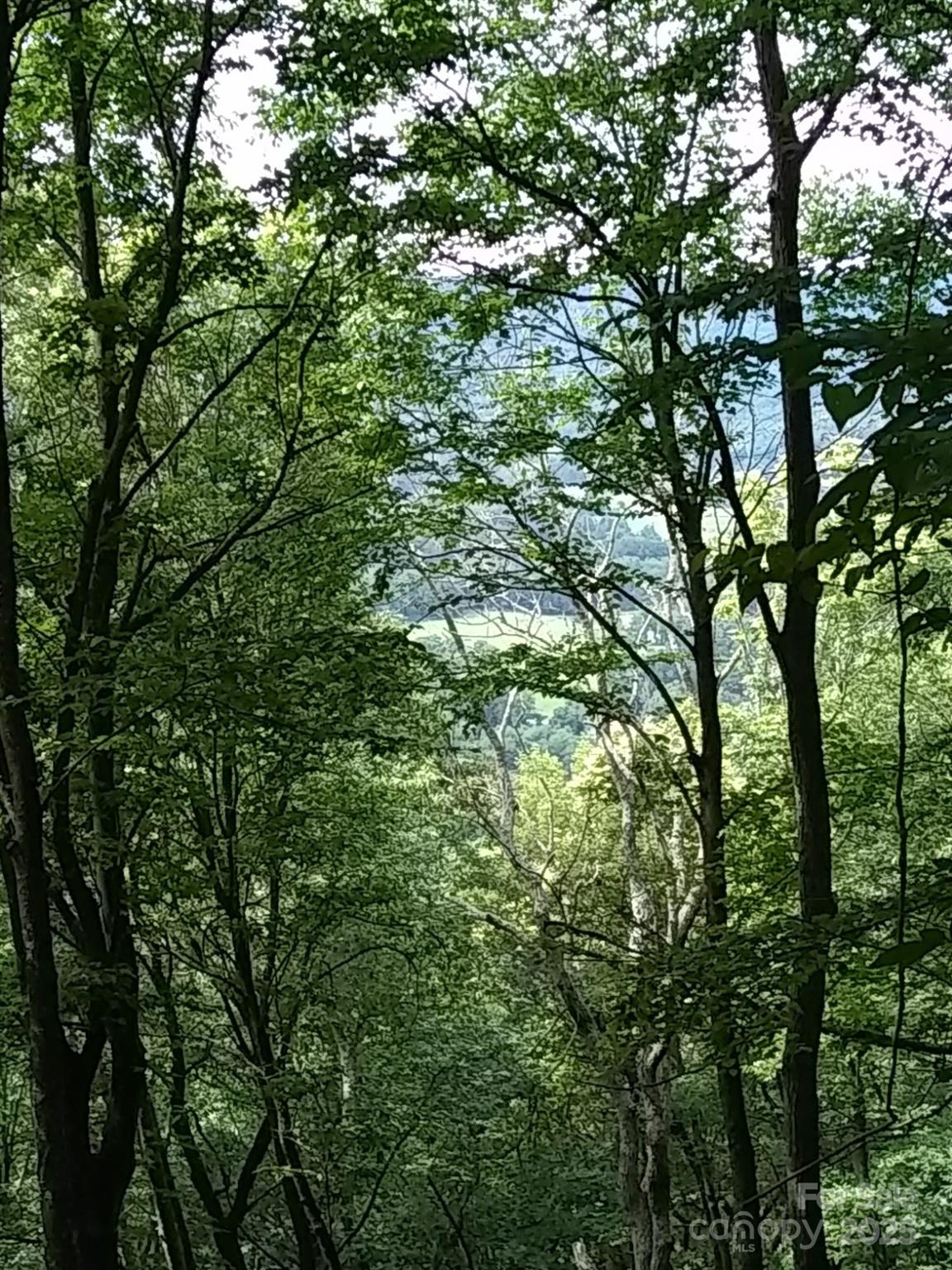 9999 Laurel Drive 12 & 13