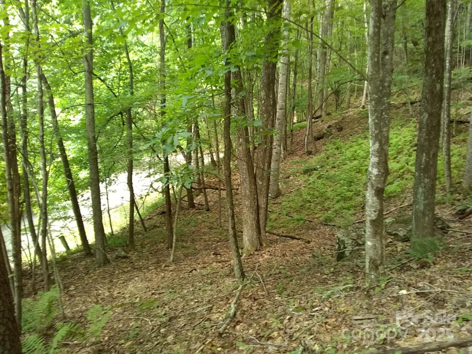 9999 Laurel Drive 12 & 13