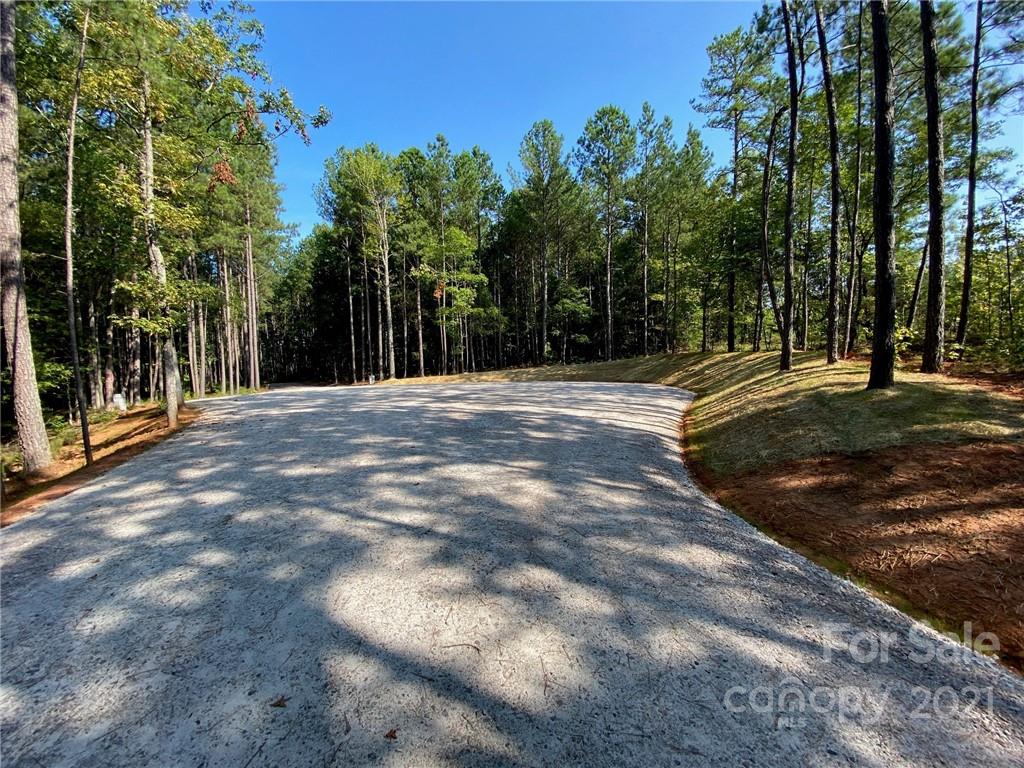 Virginia's Woods - Land