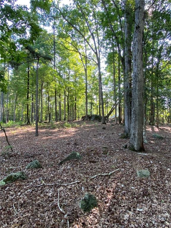 Virginia's Woods - Land