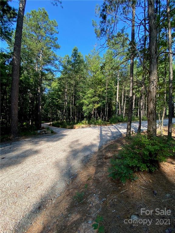 Virginia's Woods - Land