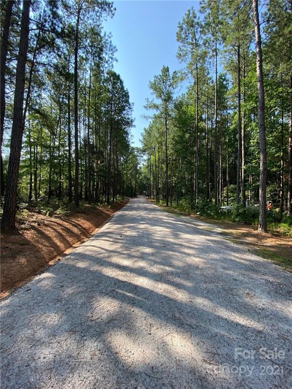 Virginia's Woods - Land