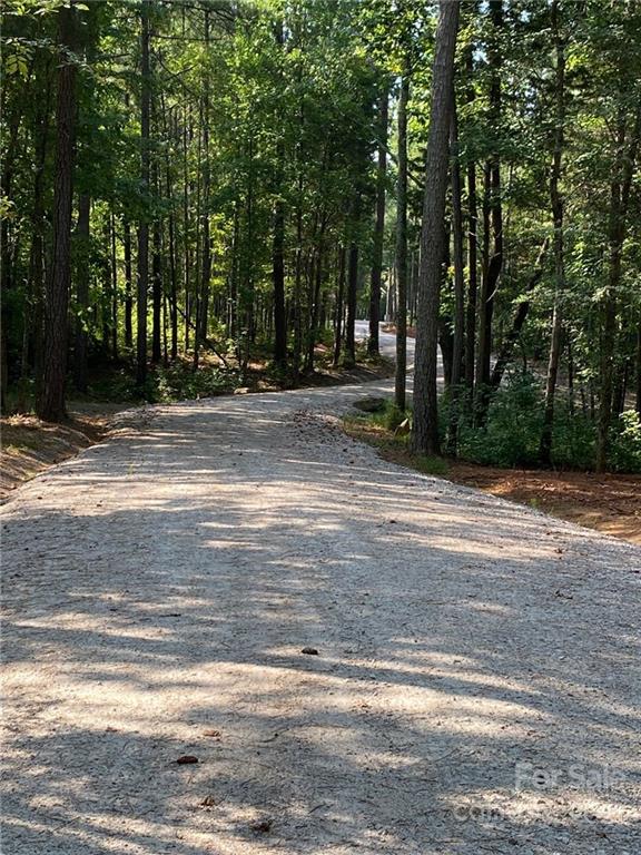 Virginia's Woods - Land