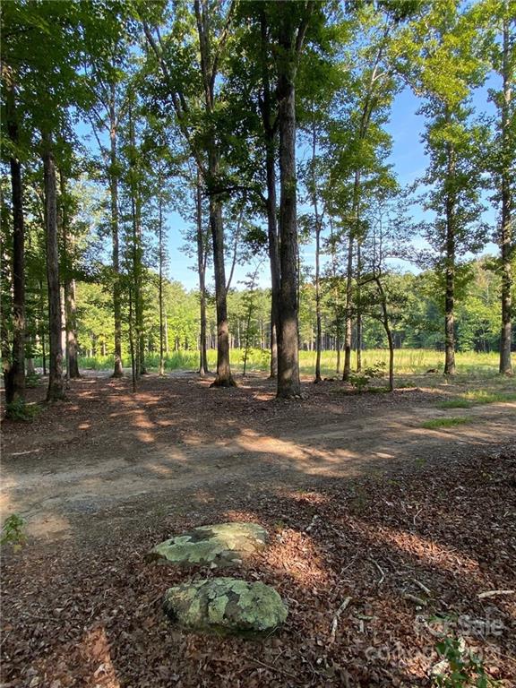 Virginia's Woods - Land