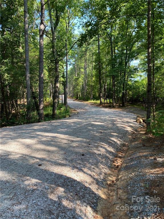 Virginia's Woods - Land