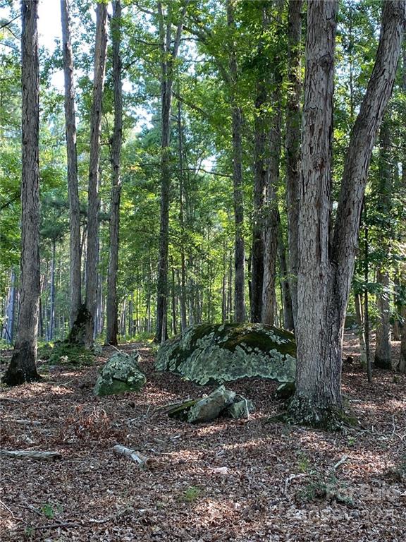 Virginia's Woods - Land