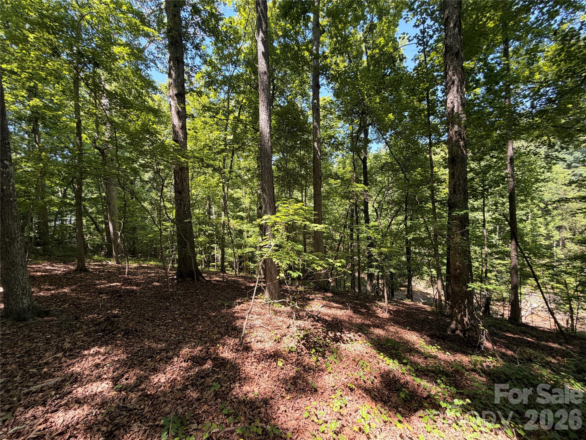 Lots 14,15,16 Trollingwood Lane