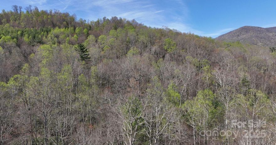 Discover the freedom of mountain living with this unrestricted property, accessed via easement on Gusher Knob Rd! With no zoning, HOA, or deed restrictions, you’re free to build, camp, or subdivide (with added road access). While electricity is available nearby, well and septic would be needed. 

Located only 15 minutes from charming Spruce Pine for local amenities, and under an hour to Boone, where you’ll find parks, restaurants, the Tweetsie Railroad amusement park, and Appalachian Ski Resort. Outdoor lovers will enjoy being just 20 minutes from Linville Caverns, public swimming, hiking trails, and snow tubing. Plus, Grandfather Mountain and the iconic Mile-High Swinging Bridge on the Blue Ridge Parkway are only 30 minutes away.